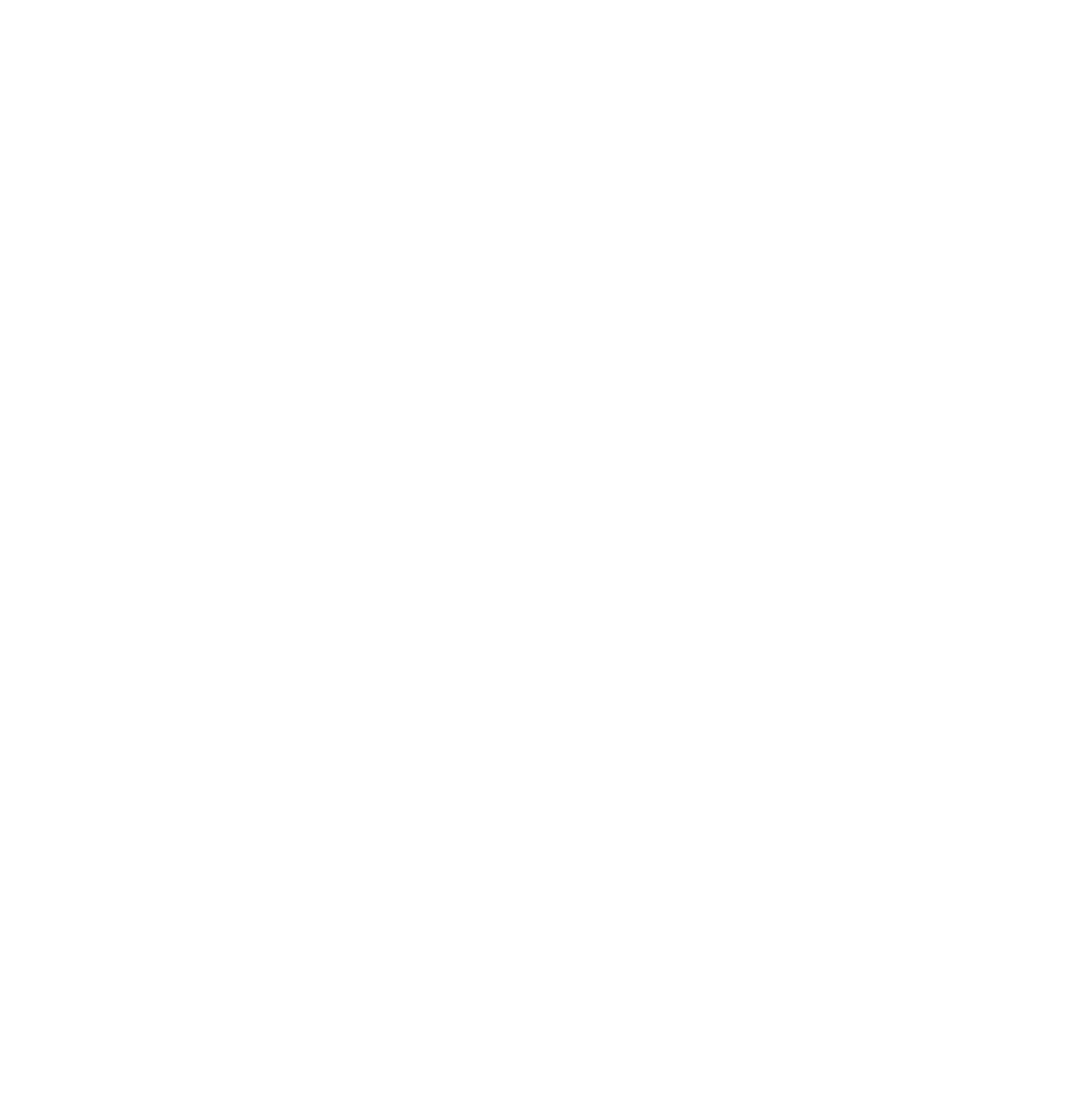 Distriva Logo